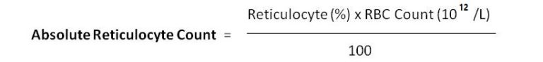 reticulocyte-count-principle-procedure-calculations-and-clinical