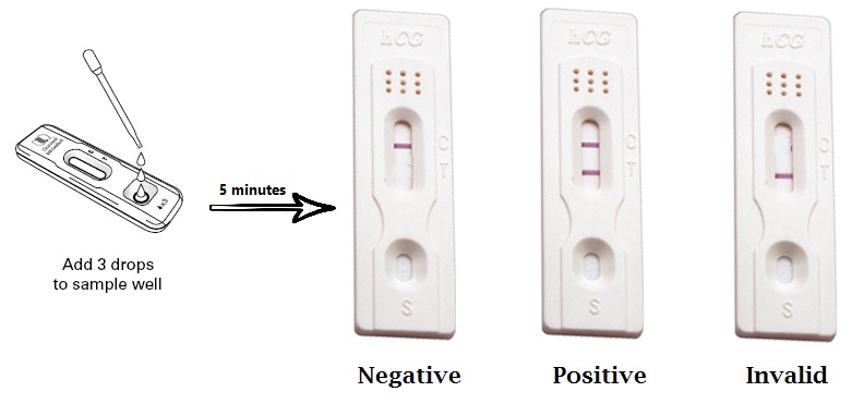 Urine-pregnancy-test