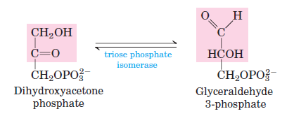 Glycolysis-Step-5