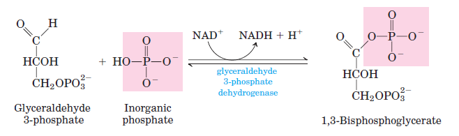 Glycolysis-Step-6