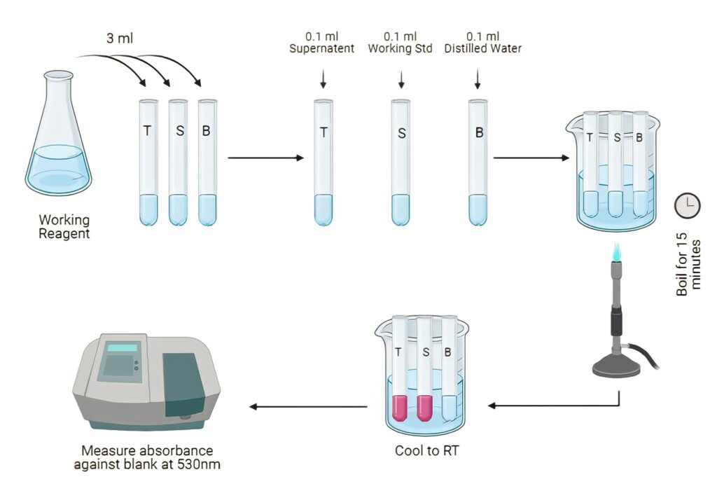 Diacetyl Monoxime (DAM) Method for Estimation of Urea