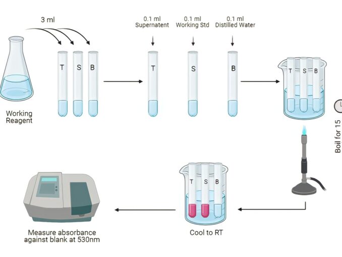 OToluidine Method for Estimation of Blood Glucose