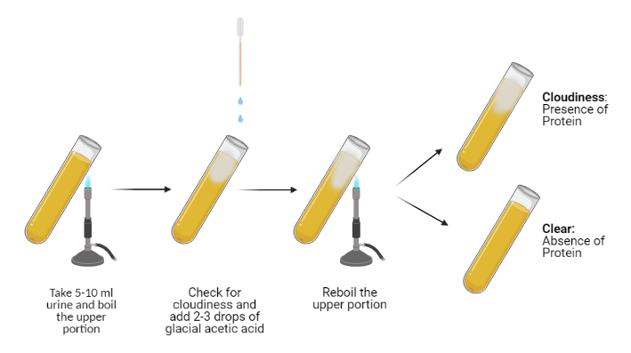 Heat-and-acetic-acid-test