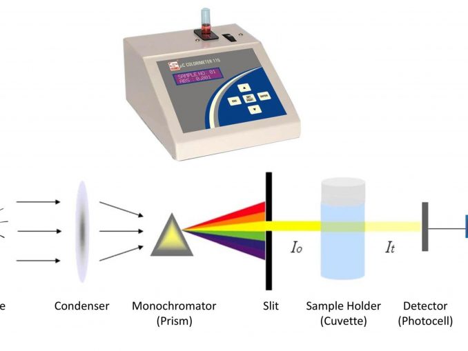 Coagulase Test : Types, Principle, Procedure, Interpretation And Examples