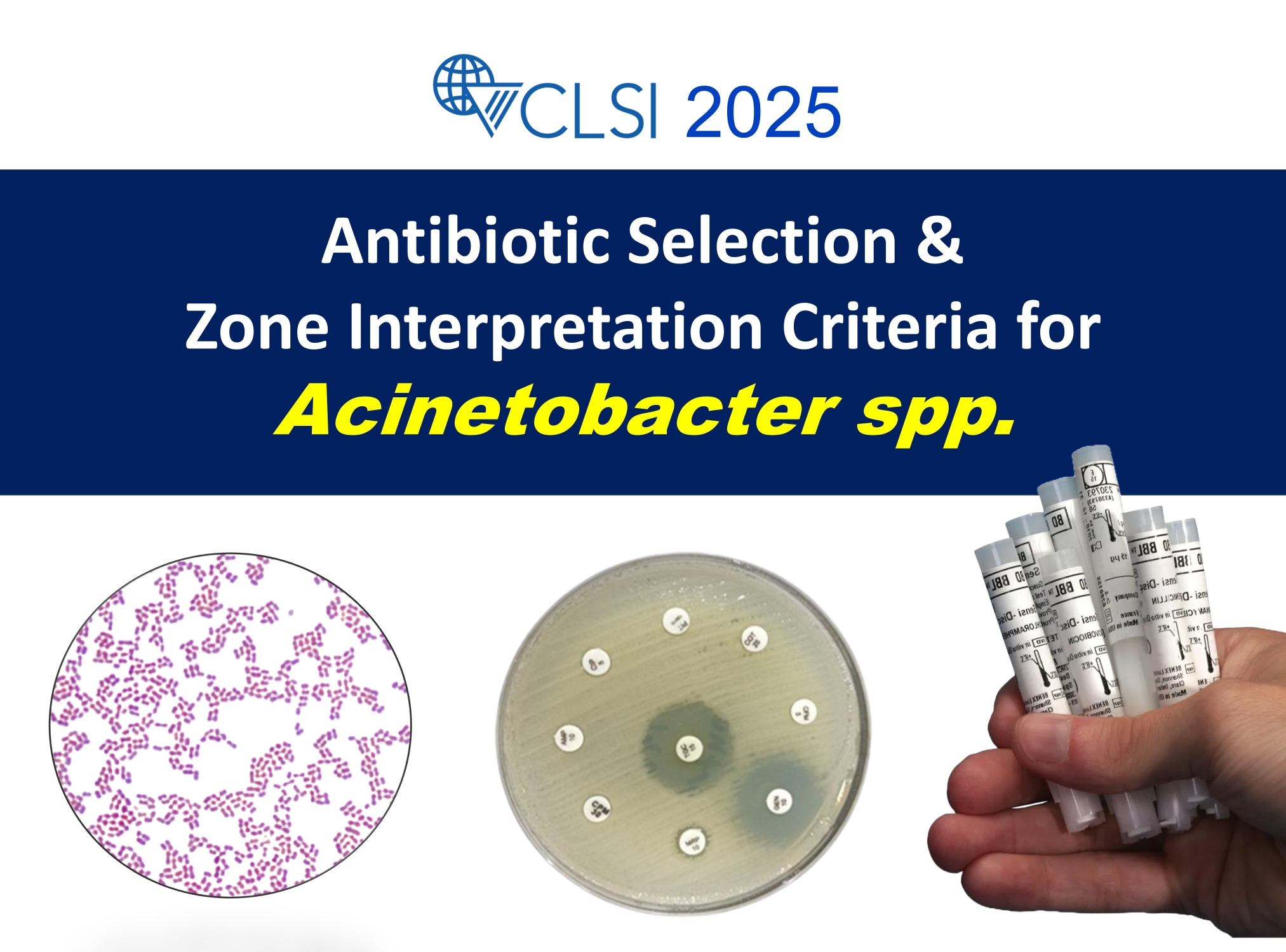 CLSI-2025-Acinetobacter-spp