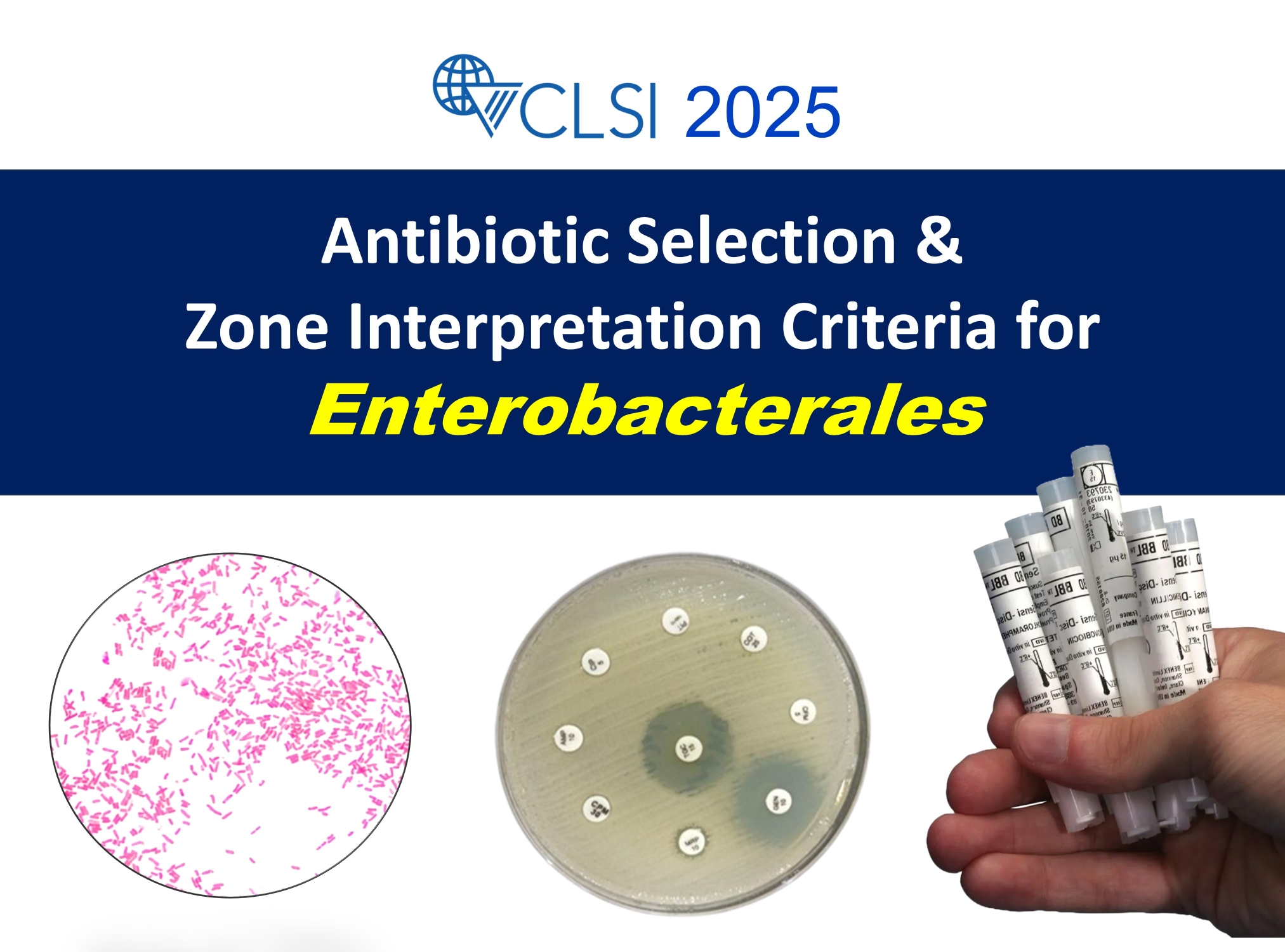CLSI-2025-Enterobacterales