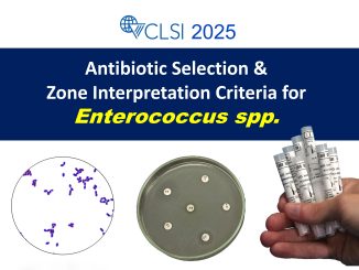 CLSI-2025-Enterococcus-spp