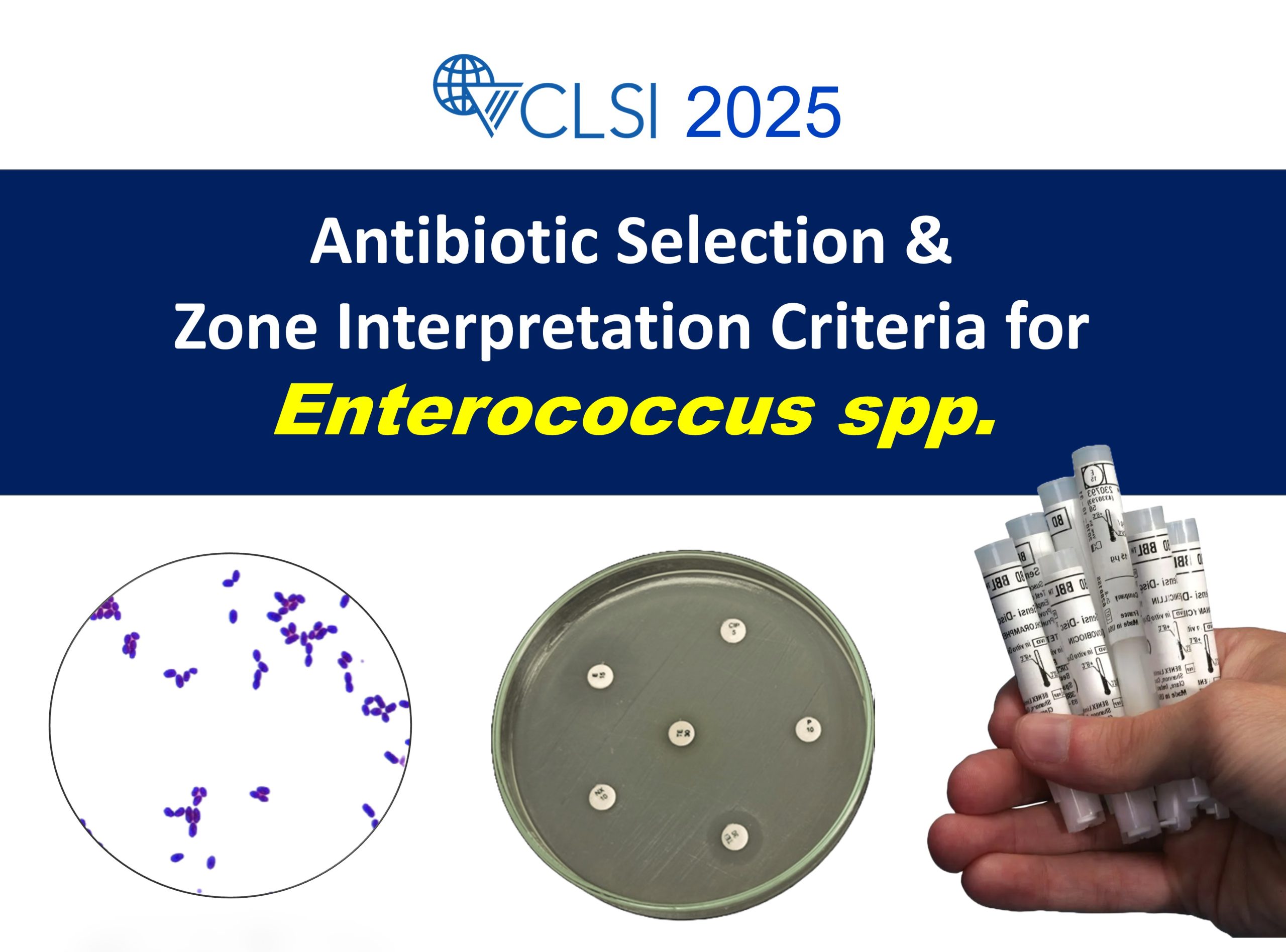 CLSI-2025-Enterococcus-spp CLSI-2025-Enterococcus-spp