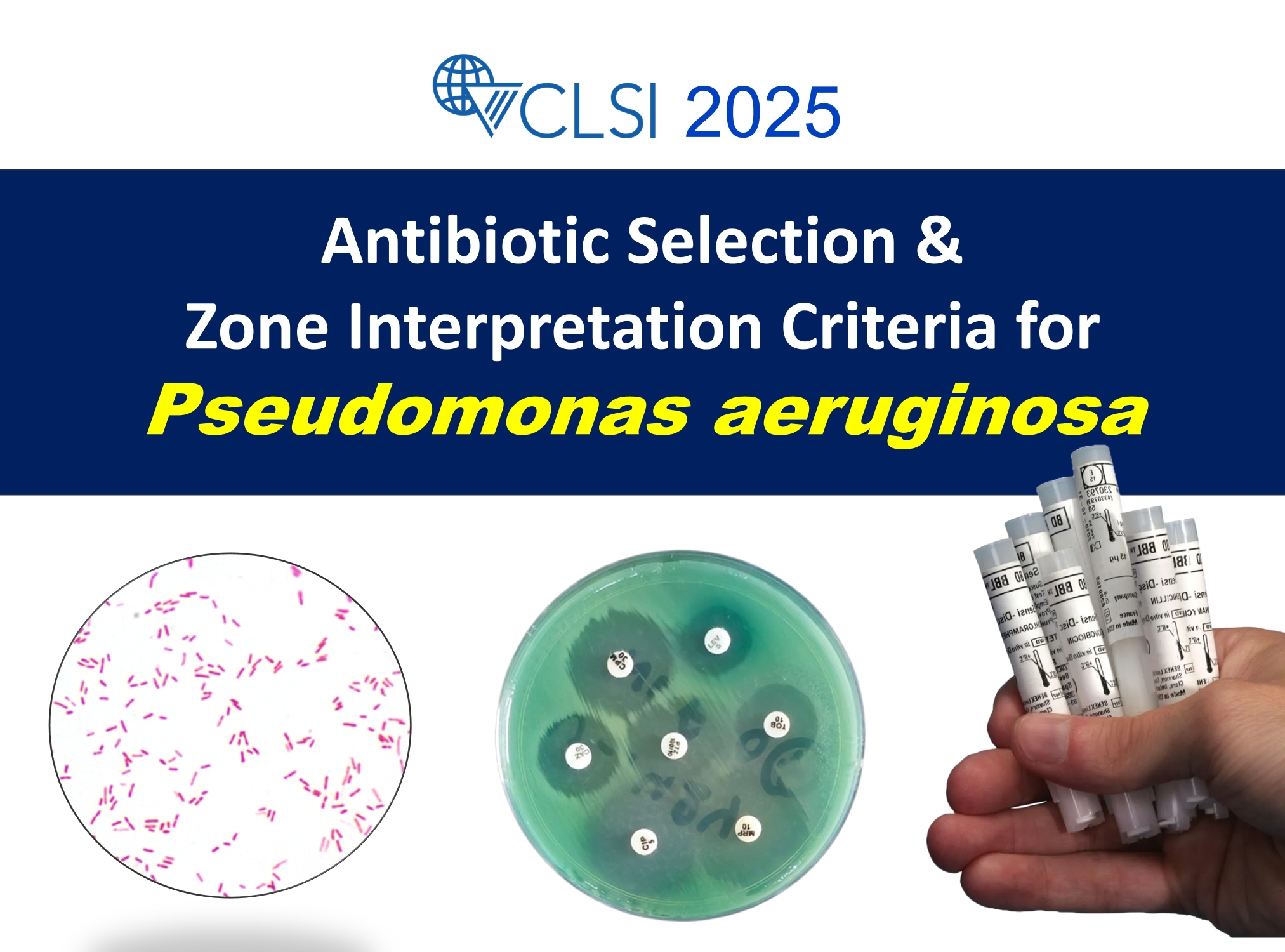CLSI-2025-Pseudomonas-aeruginosa