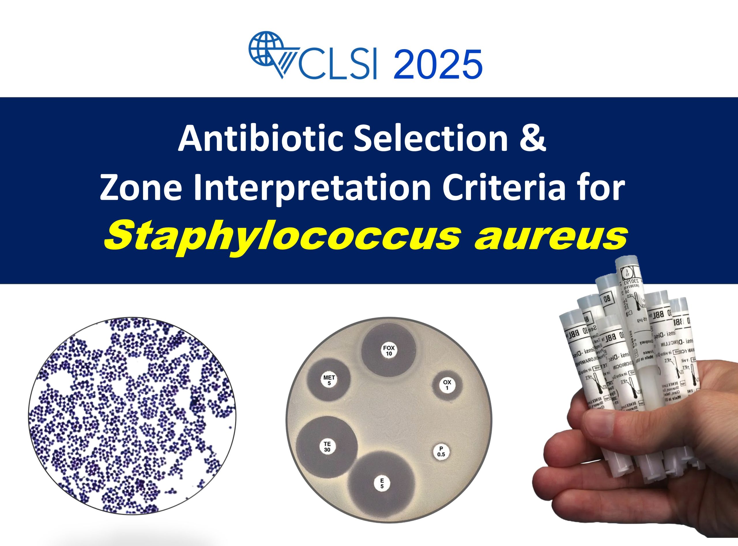 CLSI 2025 Staphylococcus aureus