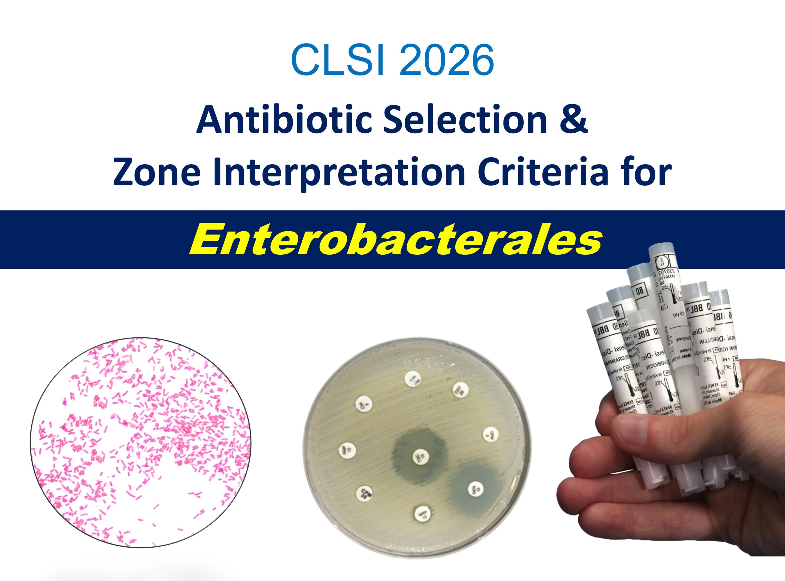 CLSI-2026-Enterobacterales