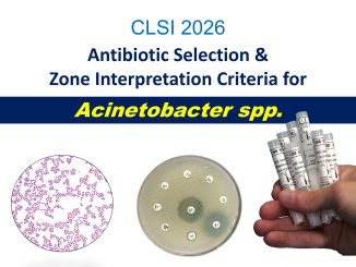 CLSI-2026-Acinetobacter